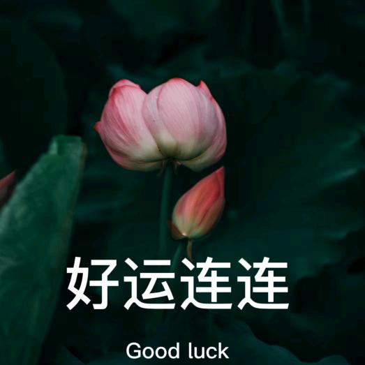 走出火海，重生