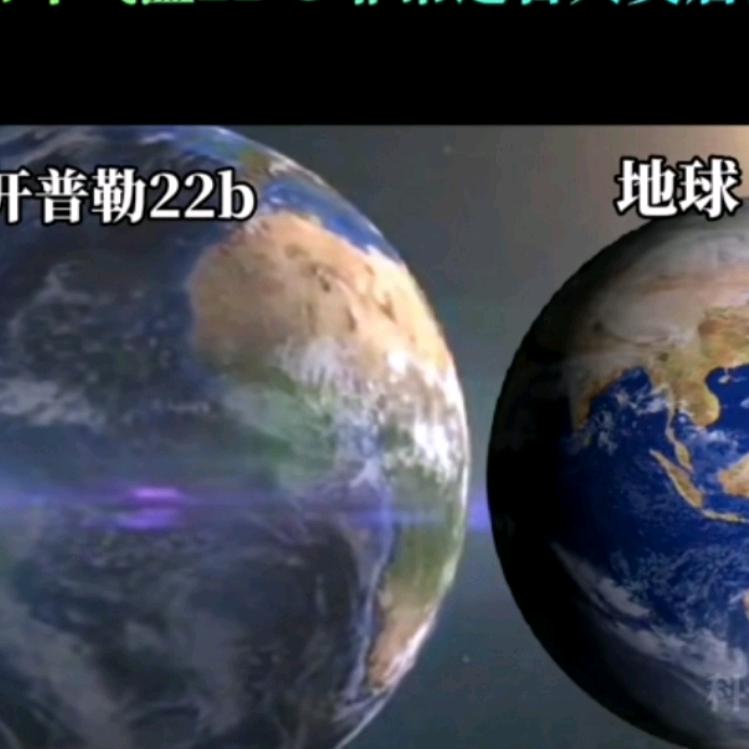 与象同行