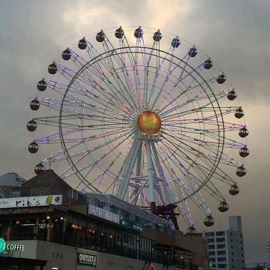 乐乐成长日记