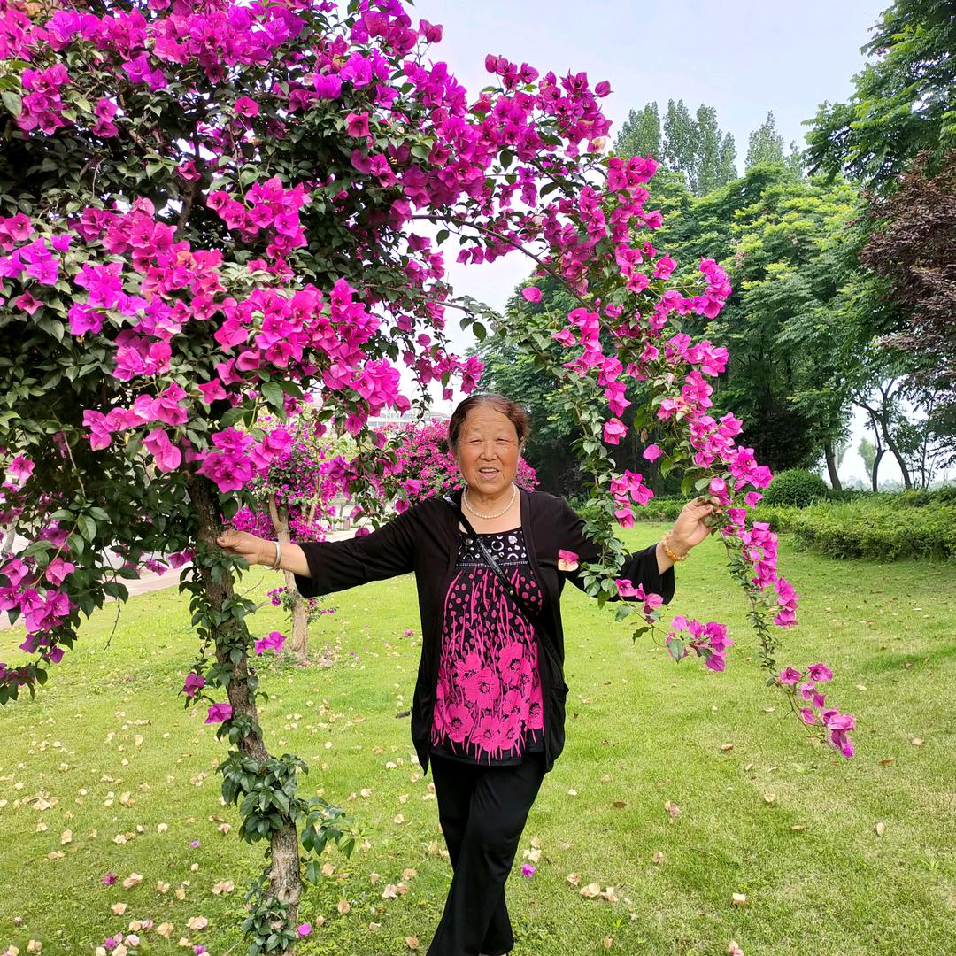 蒋维淑