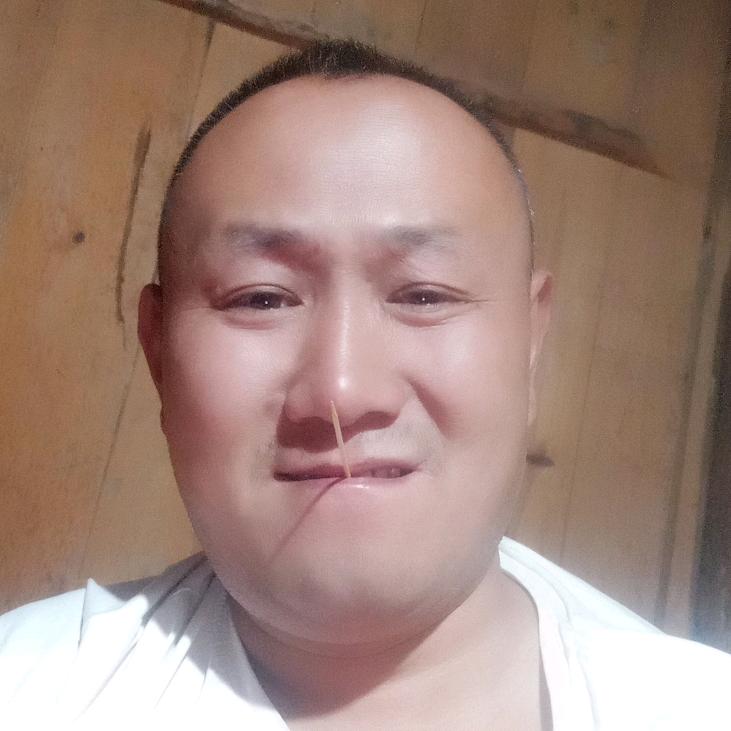 什么都好