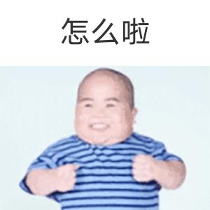 会上树的杨