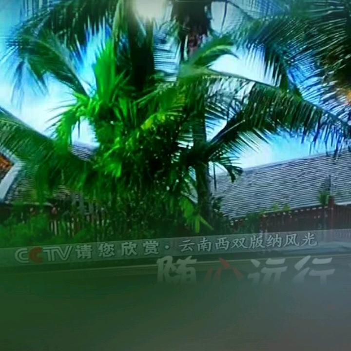 云南红河