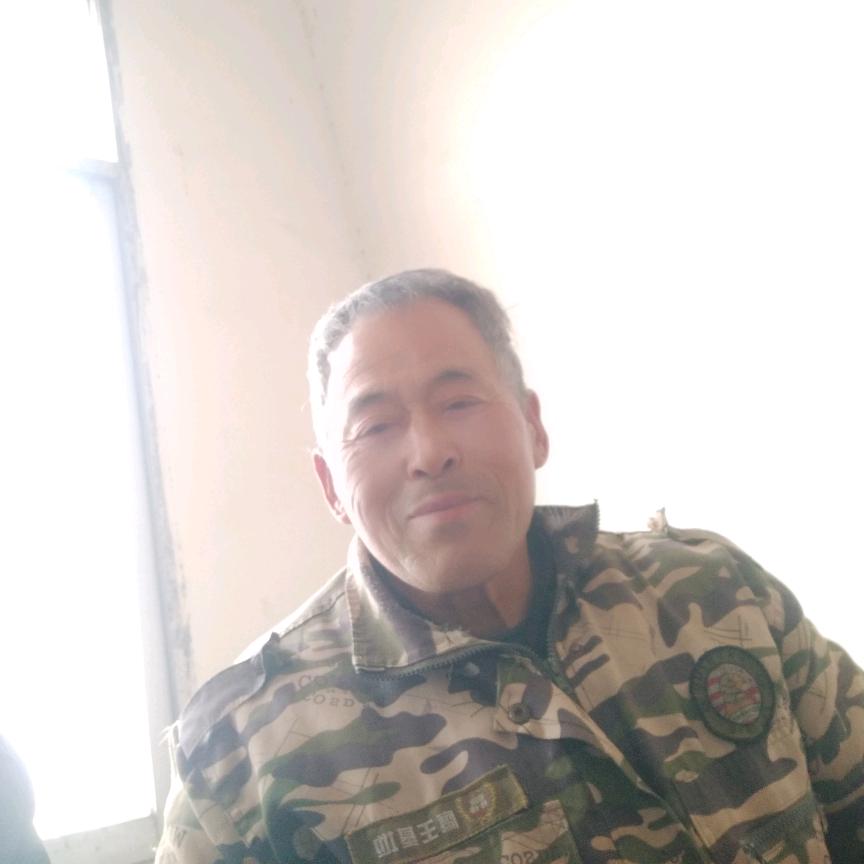 王善能