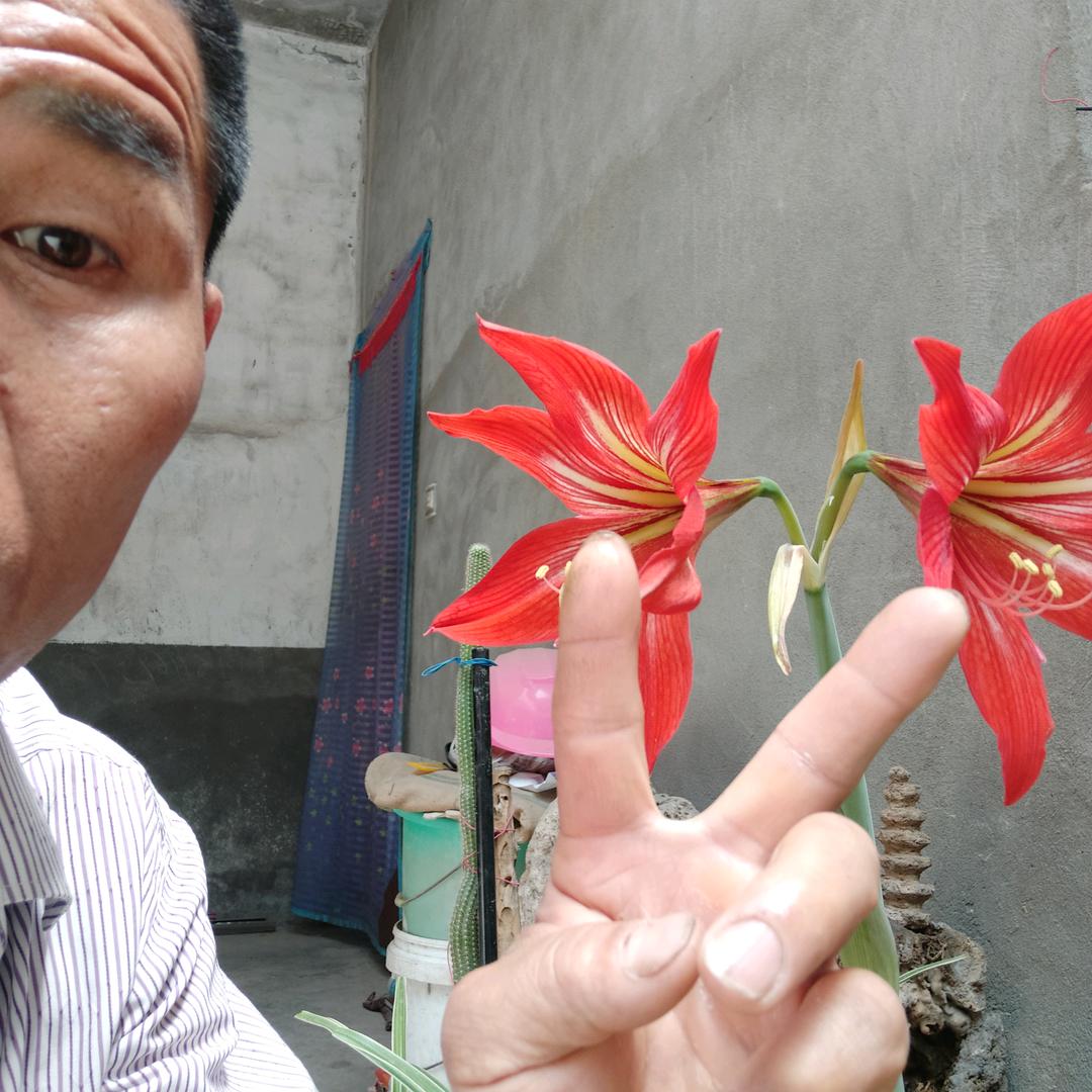 我儿子他爹最帅