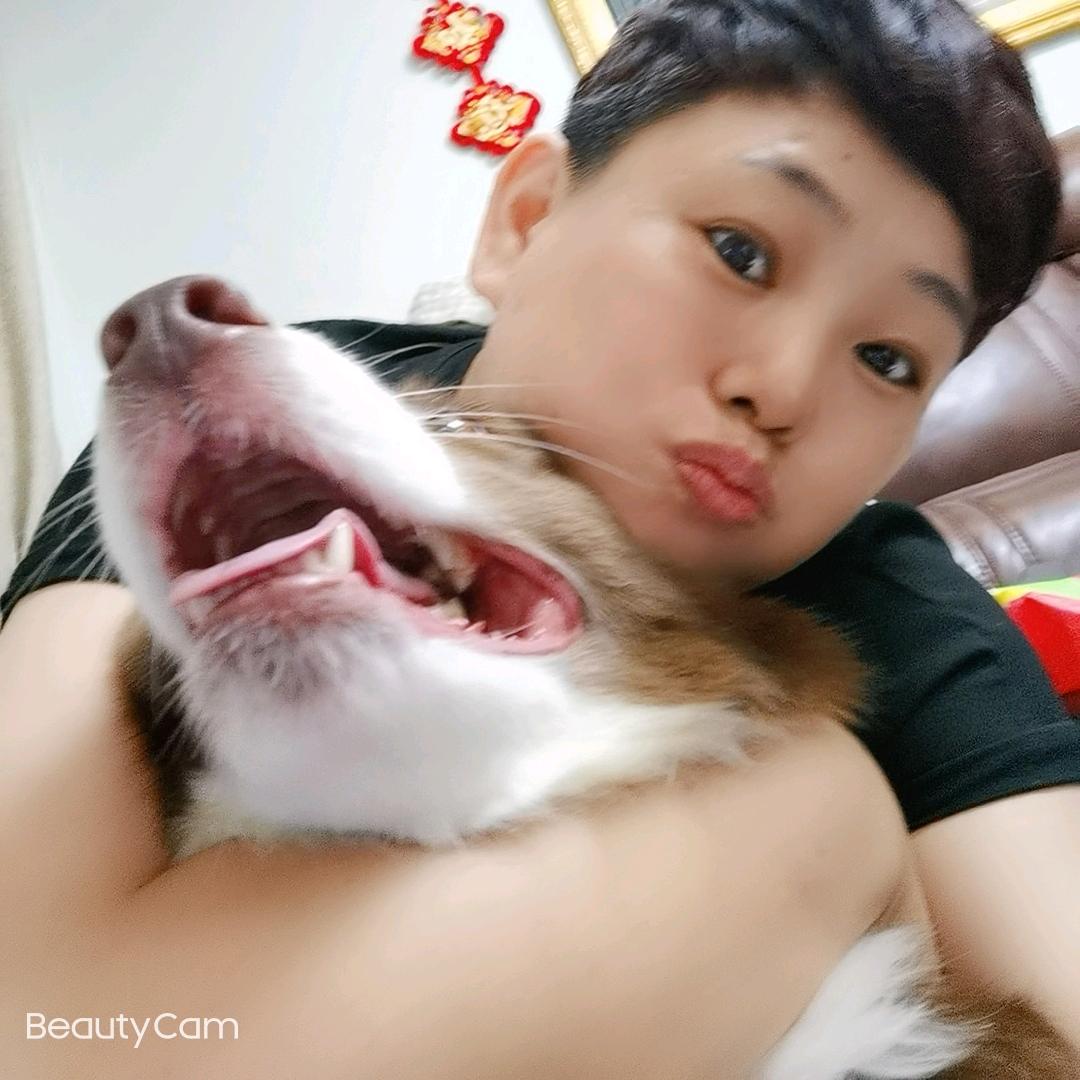 徐爱文