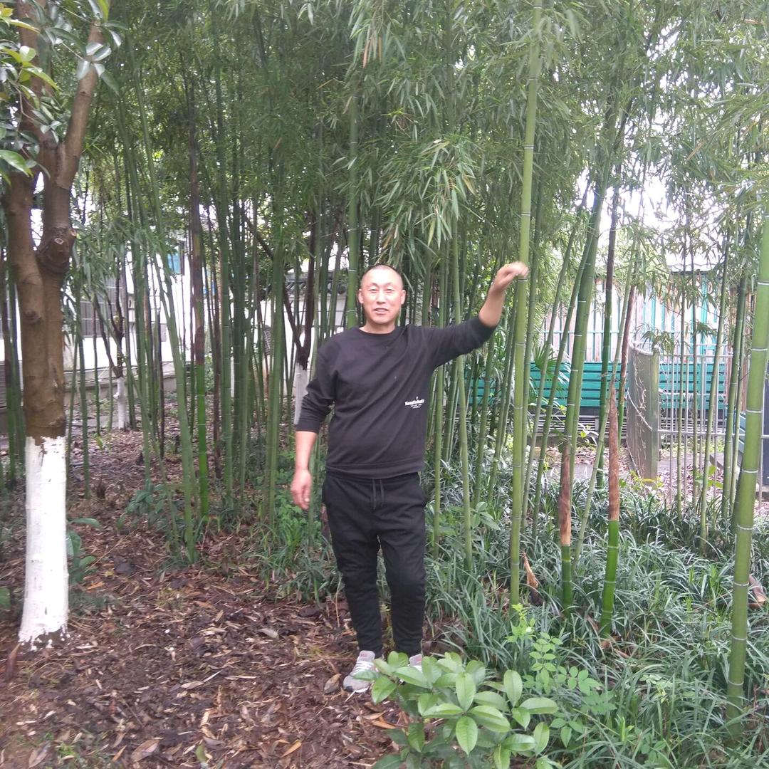 老唐爱唱歌