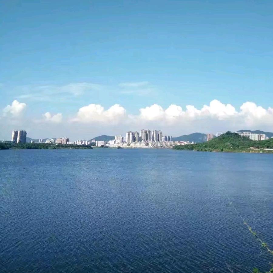馨馨