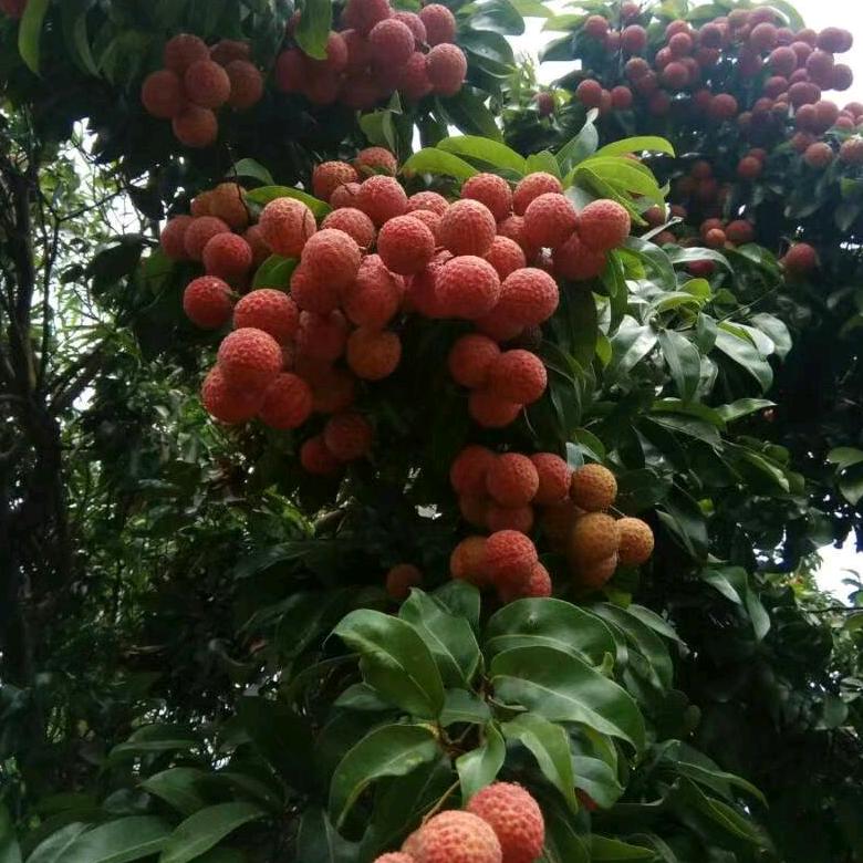 有缘相见