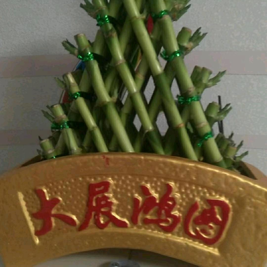 圆爷