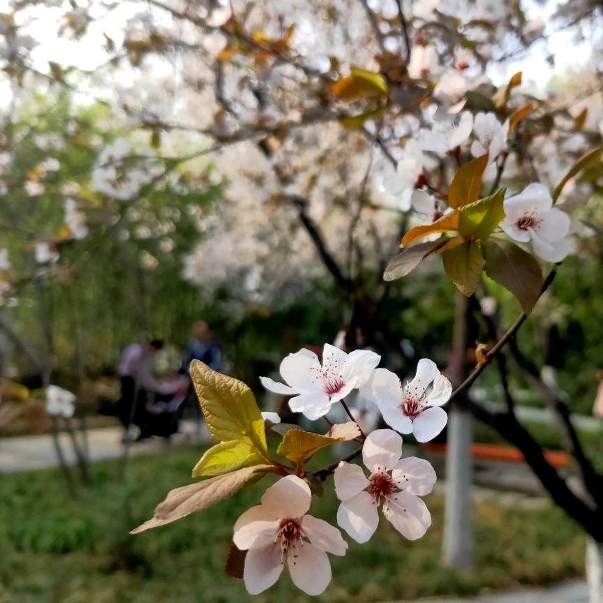 今天