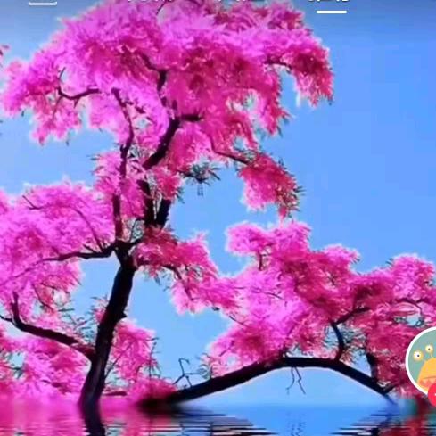 黄月芹，