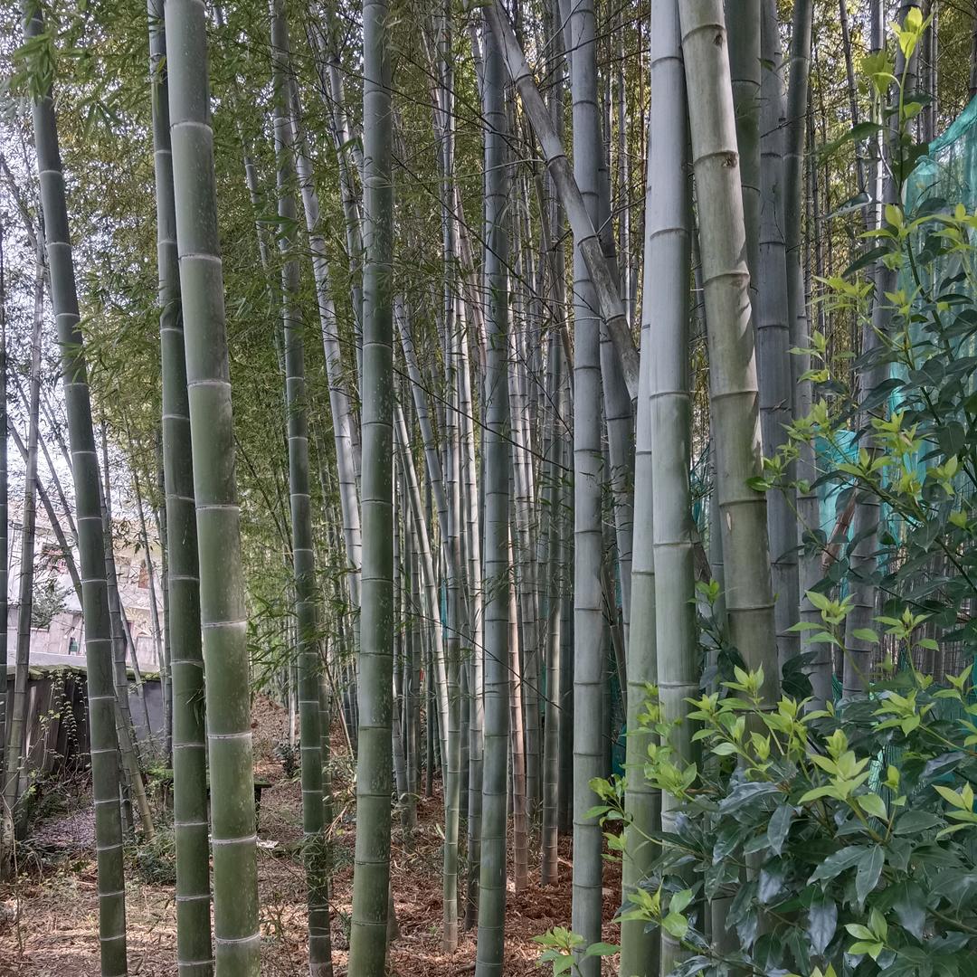 明天更美好，一切随缘