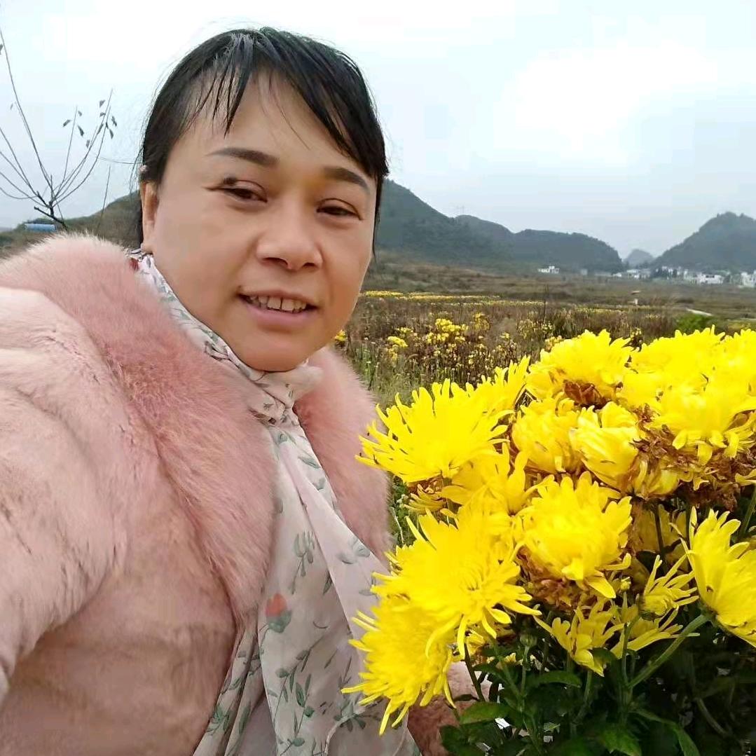 阳光人生
