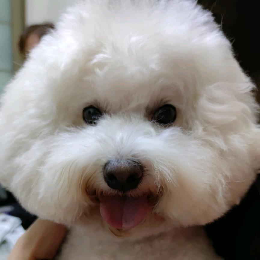 小明Lee