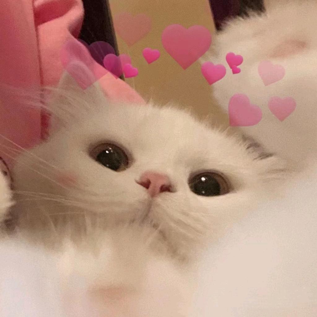 www