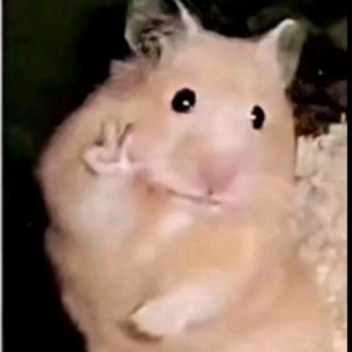 铁牛牛大王