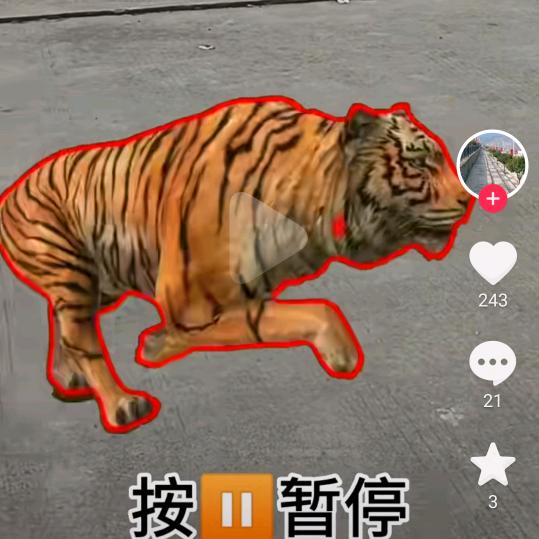 微笑度坎坷