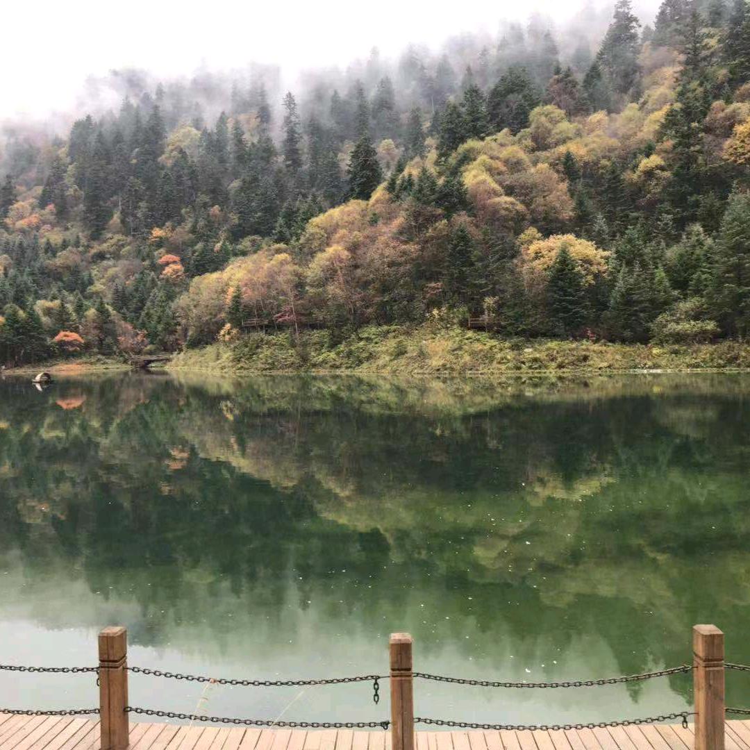 学邻雅寓龙姐