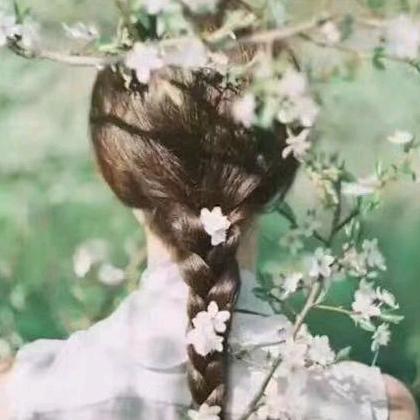 怀抱清风🌸