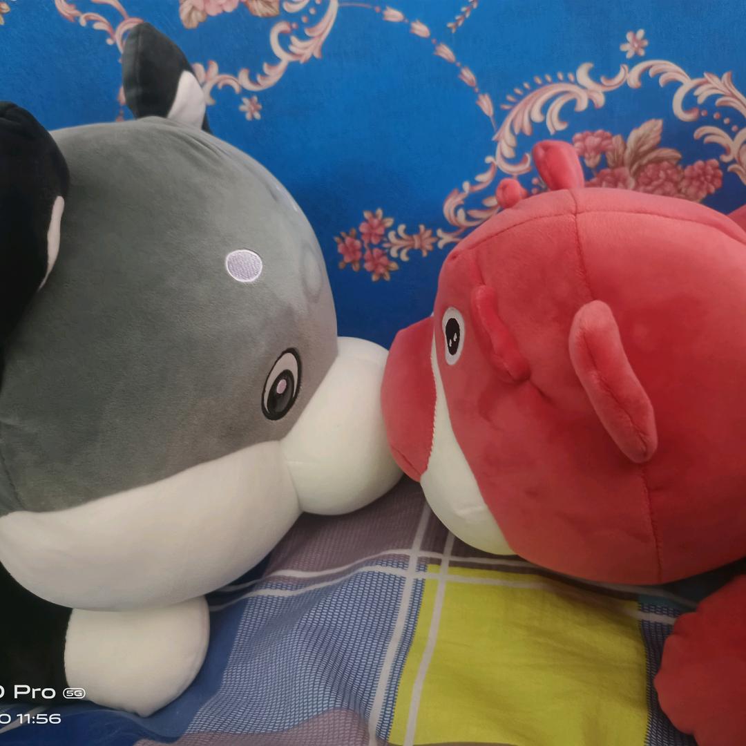 💐🐭烈酒(⋟﹏⋞)忘愁🌹🐀