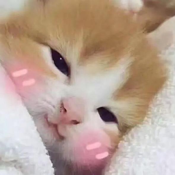 快乐成长