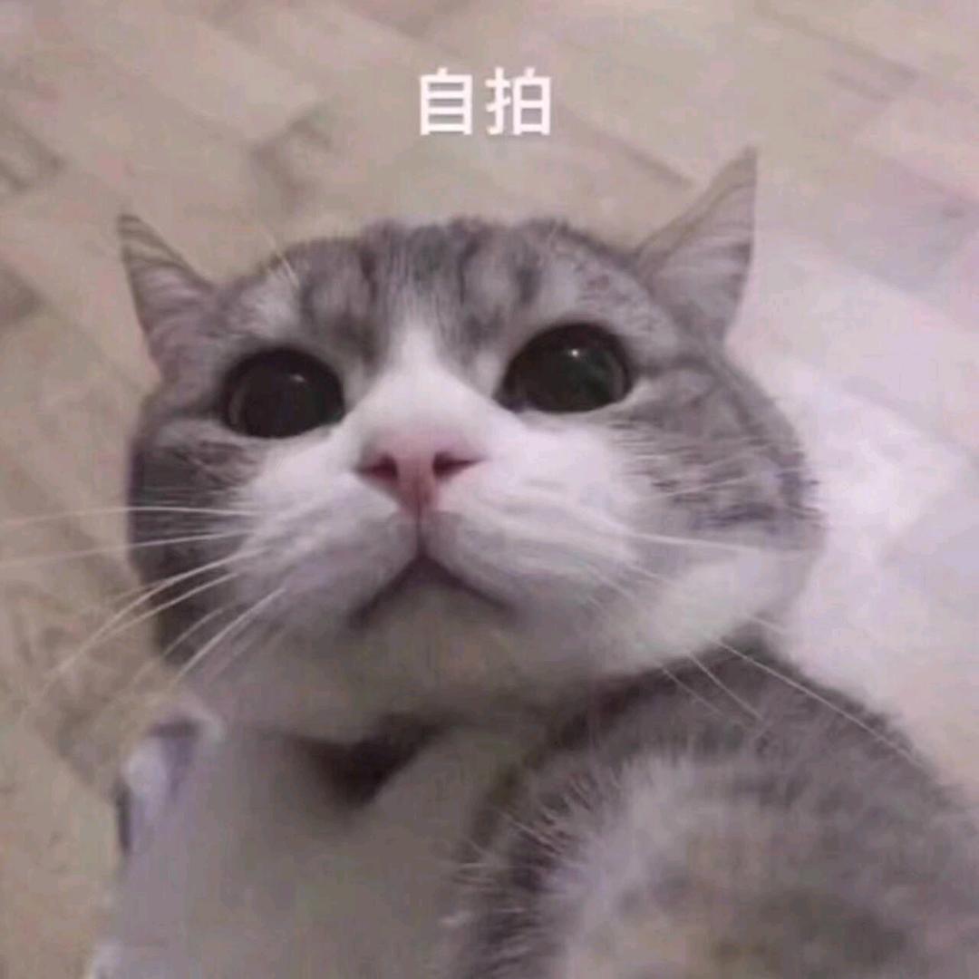 橘萝北