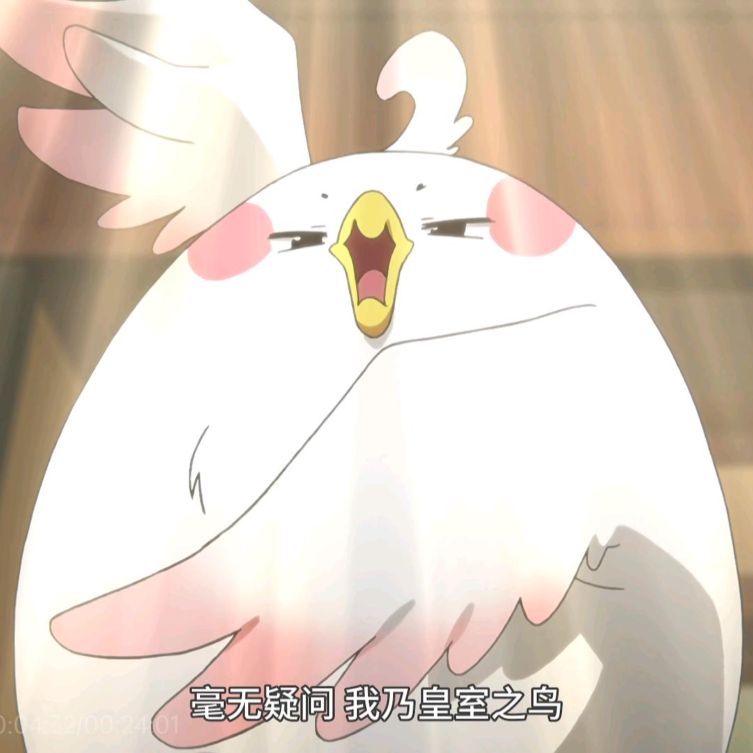 打瞌睡的小梨子