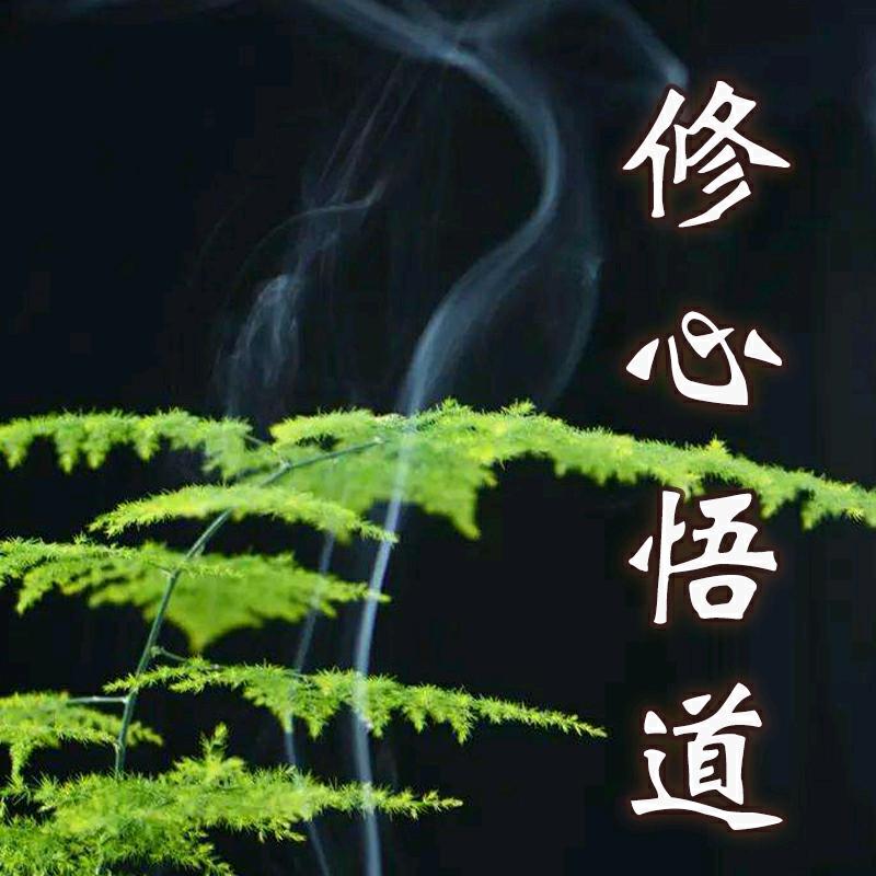 修心.悟道