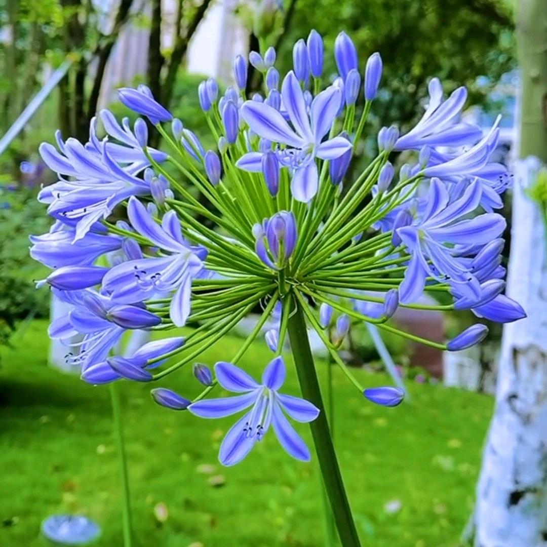 小9麻麻（开始迎接每一天）