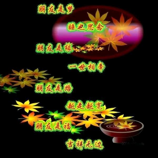 💞爰拼才会赢🍒