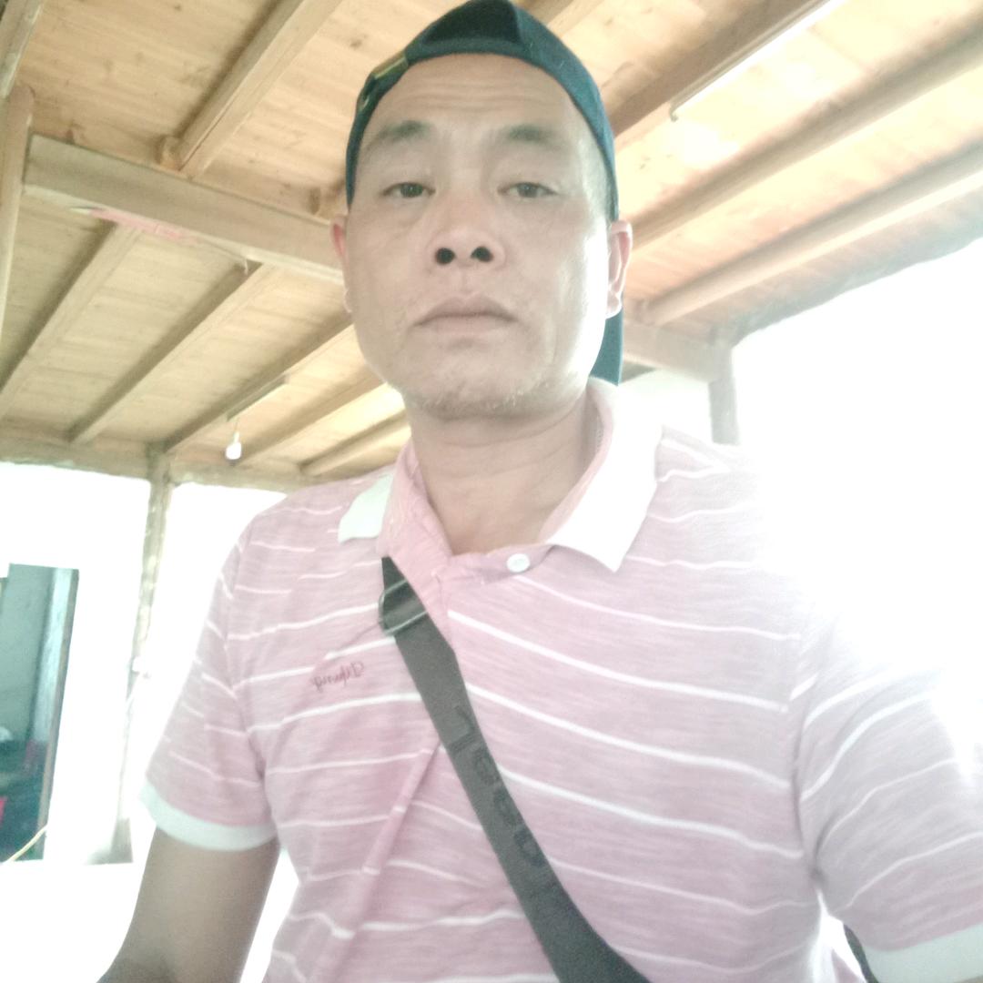 杨哥