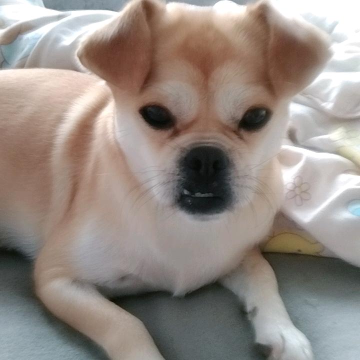 高高在上