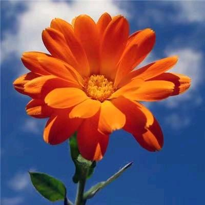 恭喜发财万万年