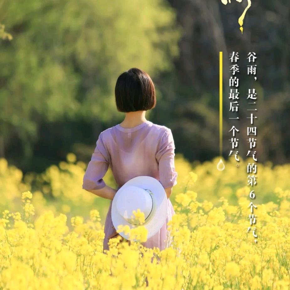 燕子