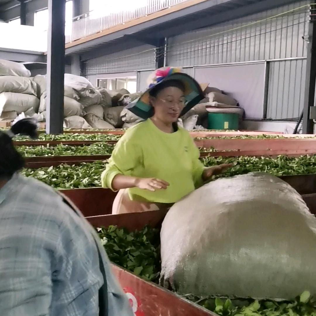 老香茶叶源头厂家