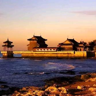 大森林🎄🎄🎄🎄🎄