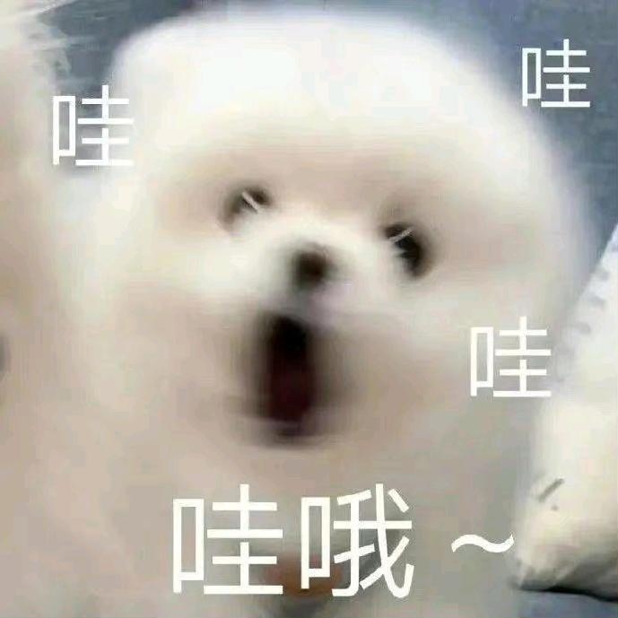 我爱钱钱爱我