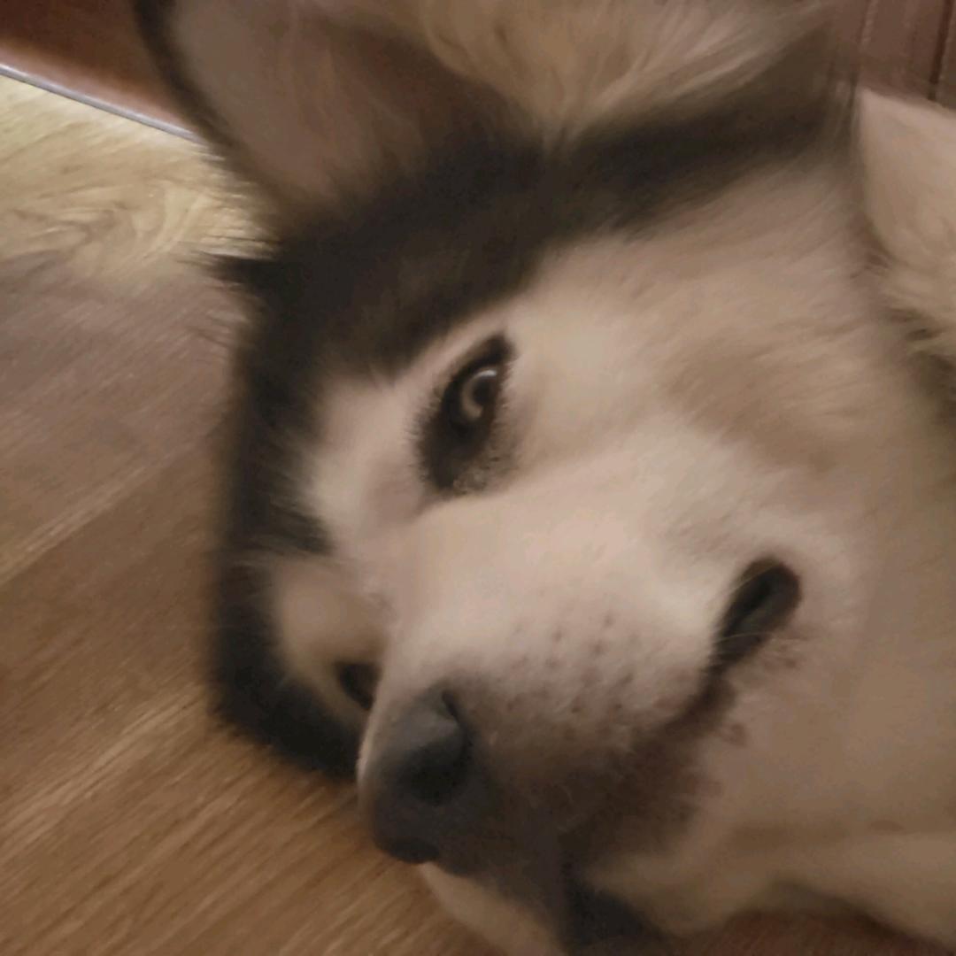 晨与海