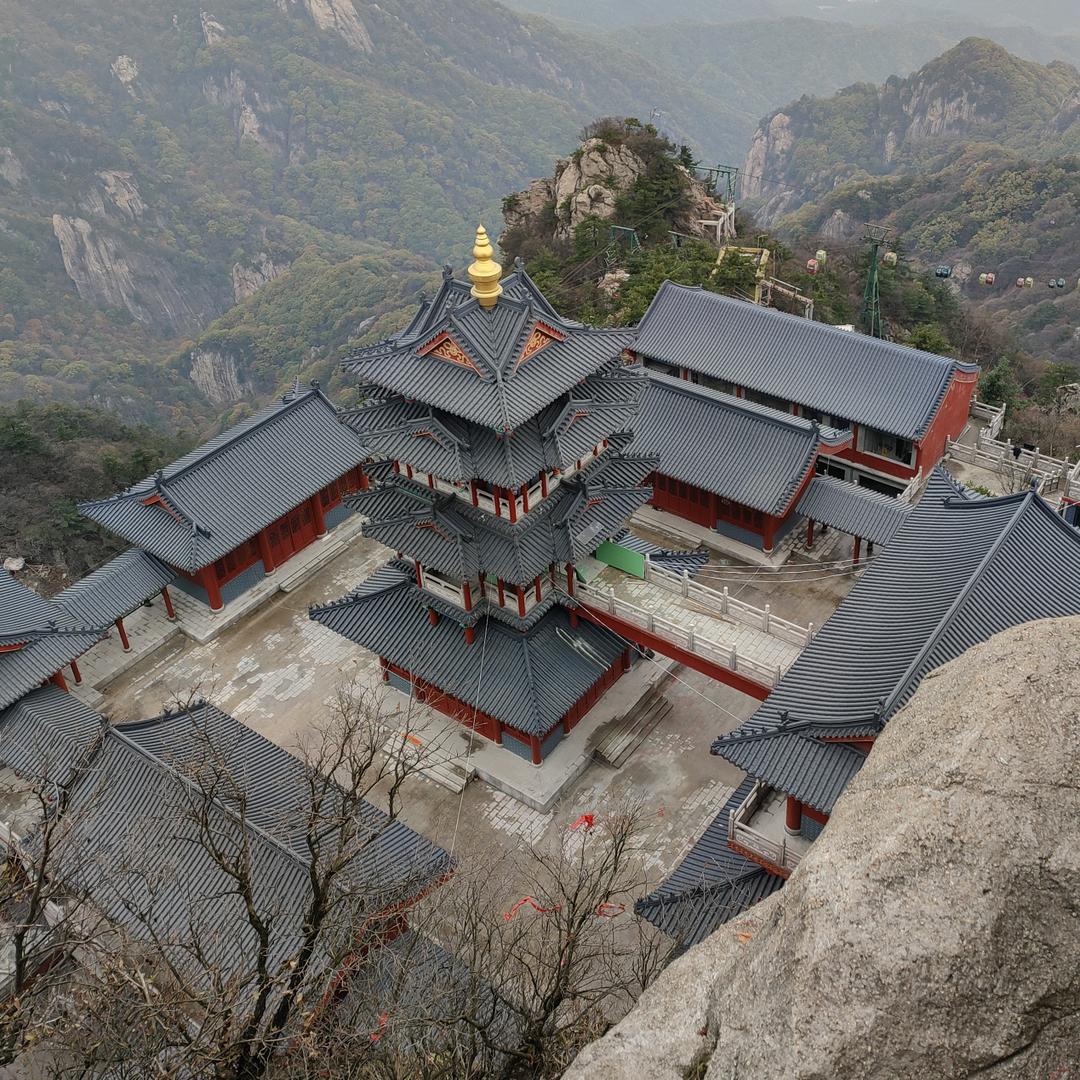杰哥科普动物