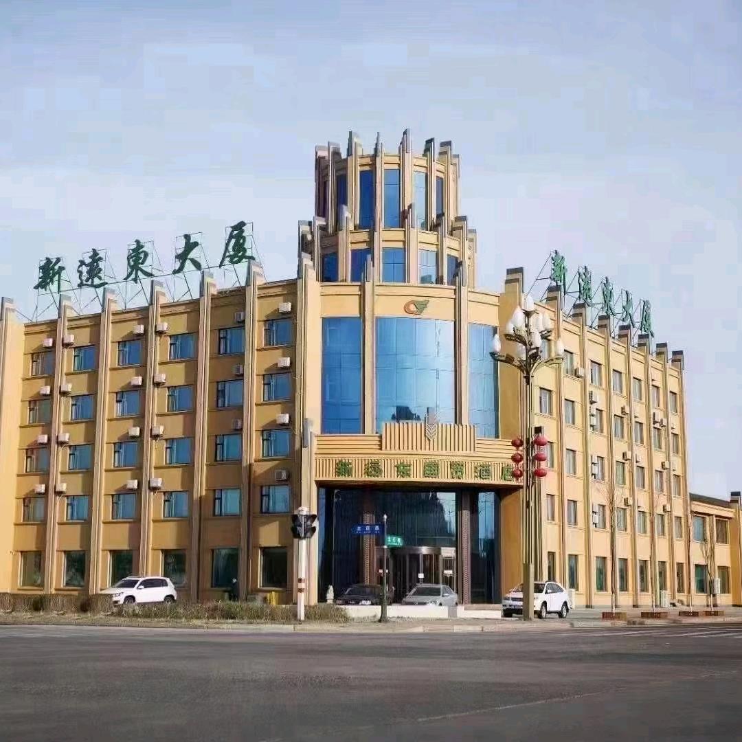 同江市新远东国贸酒店