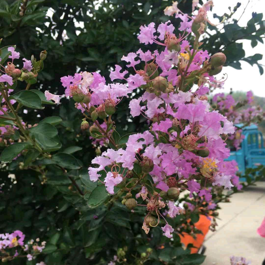 南辰友联驾校