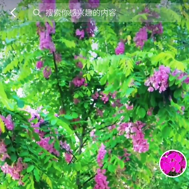 已重置