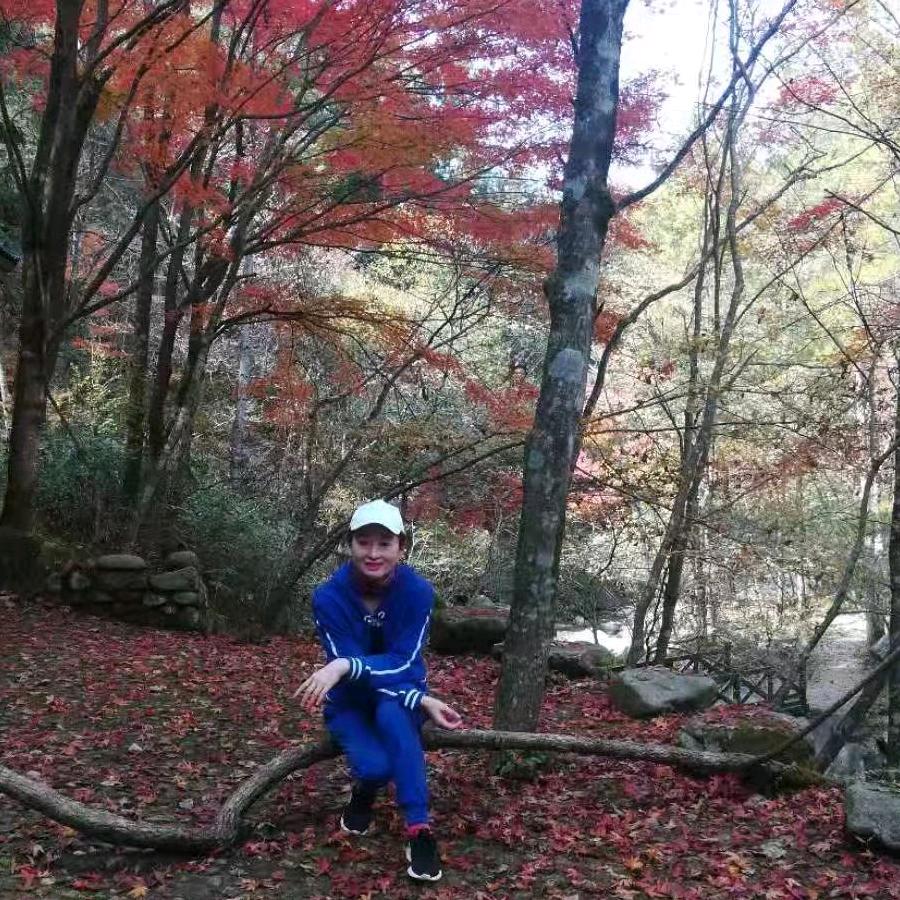 阳光造型——（拒私聊）
