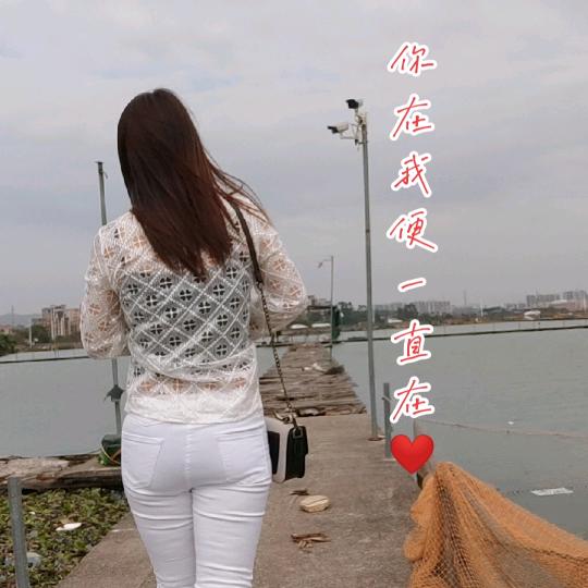 1977年蛇🐍
