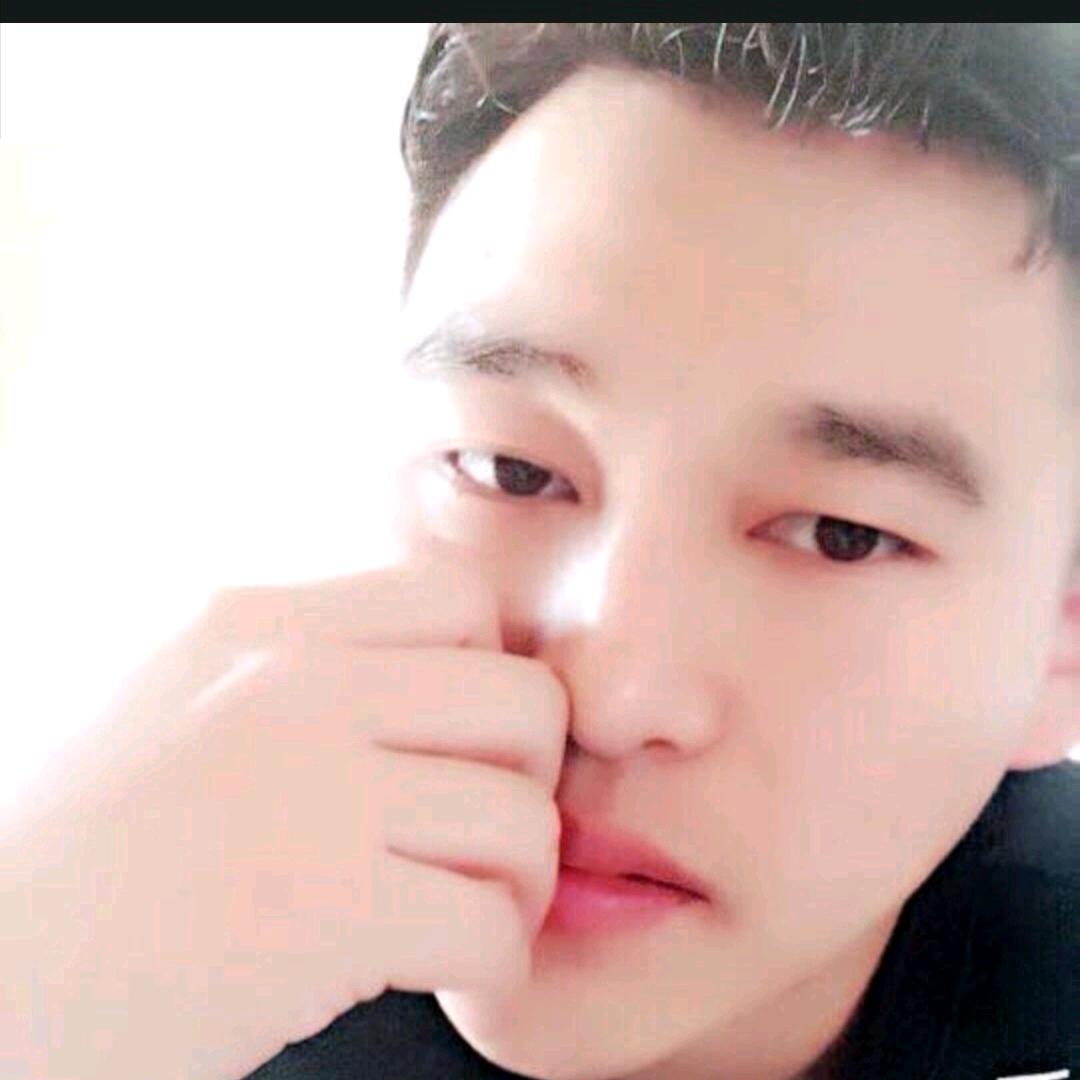 队长小翼