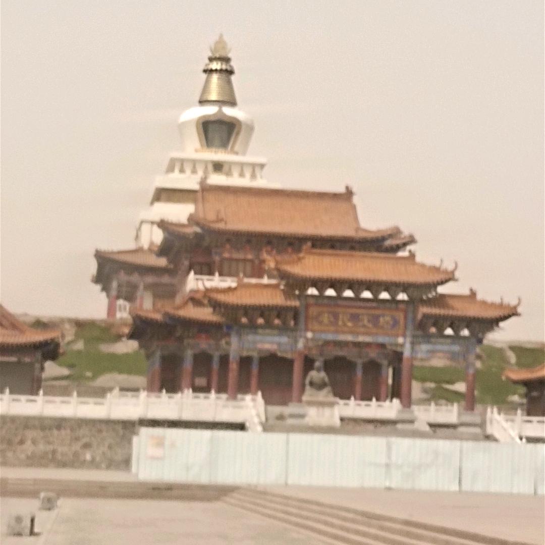 摆渡人生好物分享