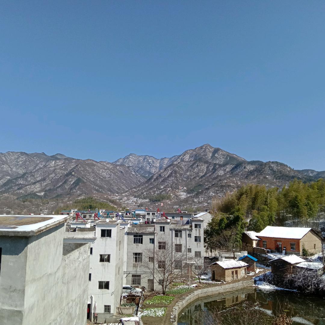 把努力献给青春