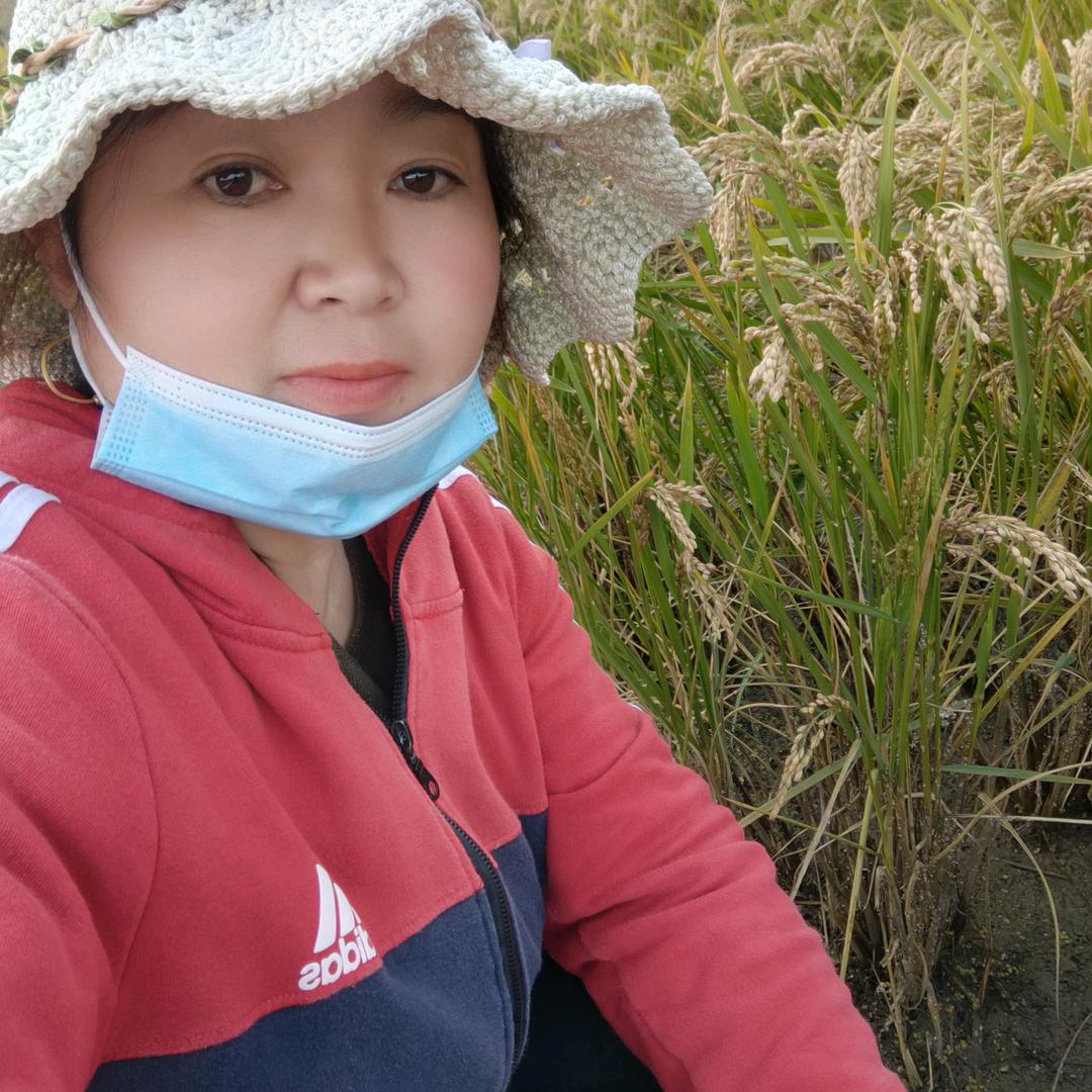 雾里看花🍒