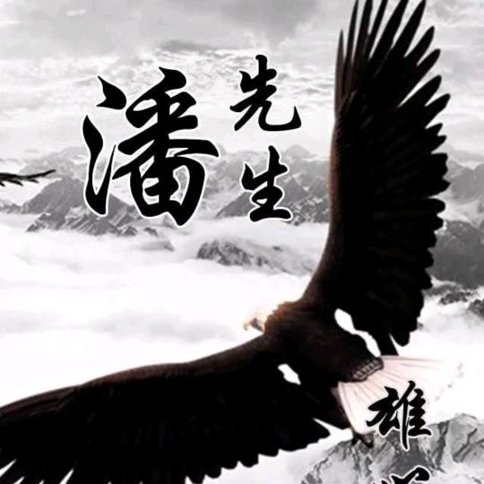 大海